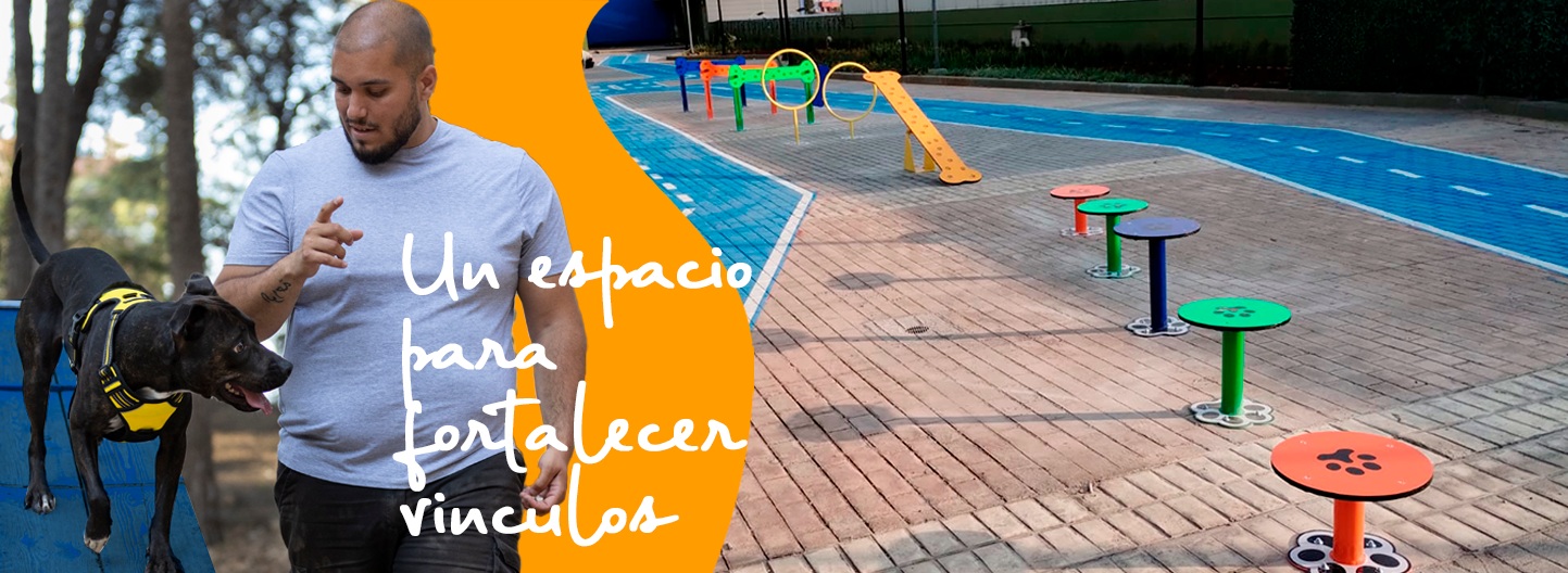 Banner parques para mascotas